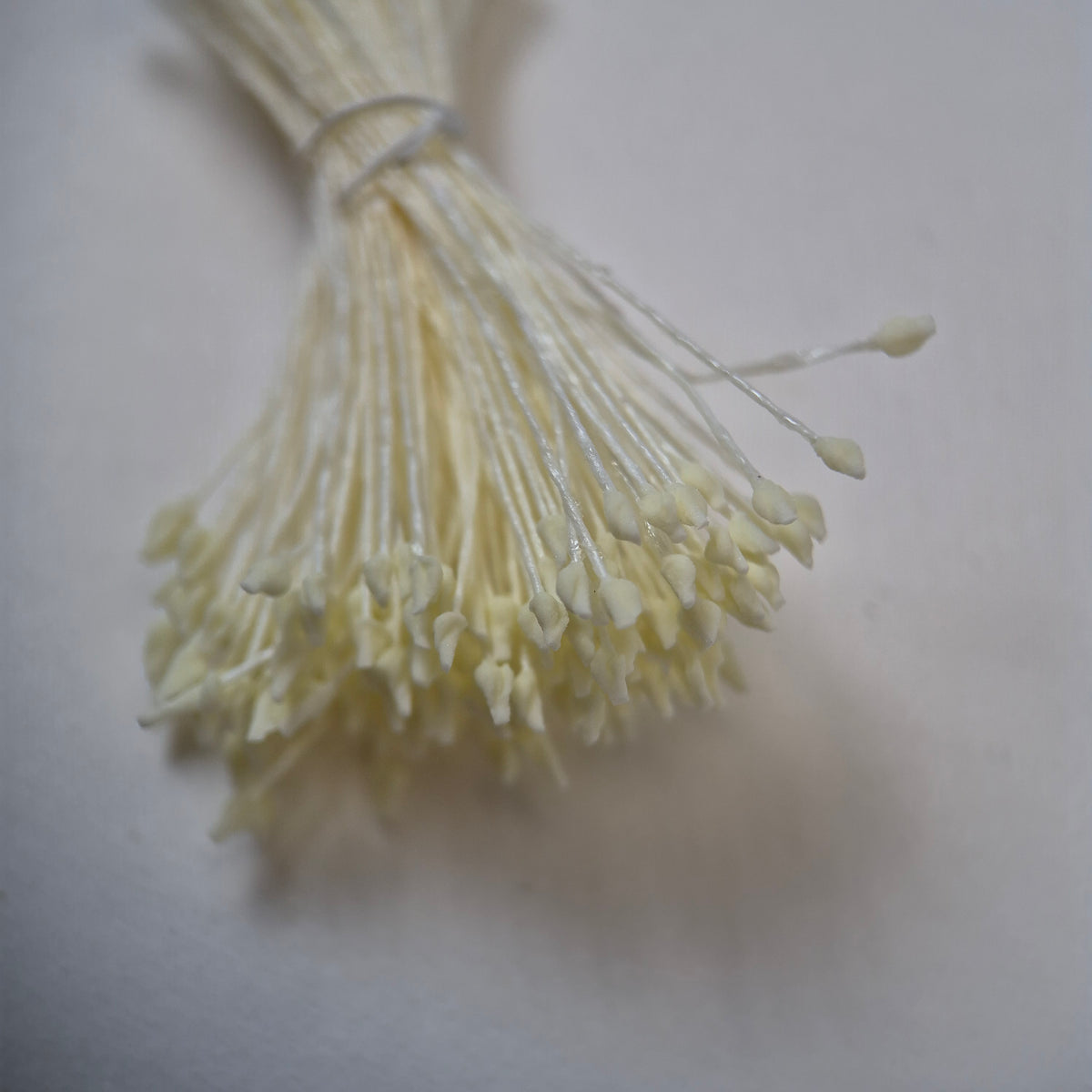 Miniature cream naturalistic flower stamens size S with botanical shapes on cream cotton threads, premium Japanese craft supplies