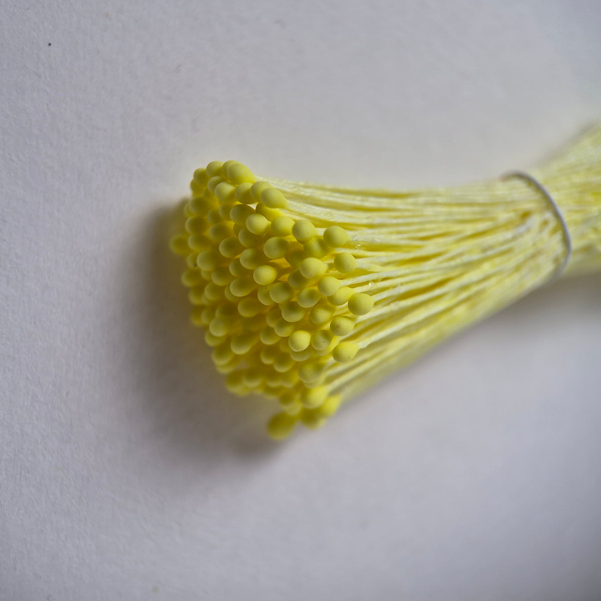 Small bundle of yellow round flower stamens on yellow cotton thread for silk floristry