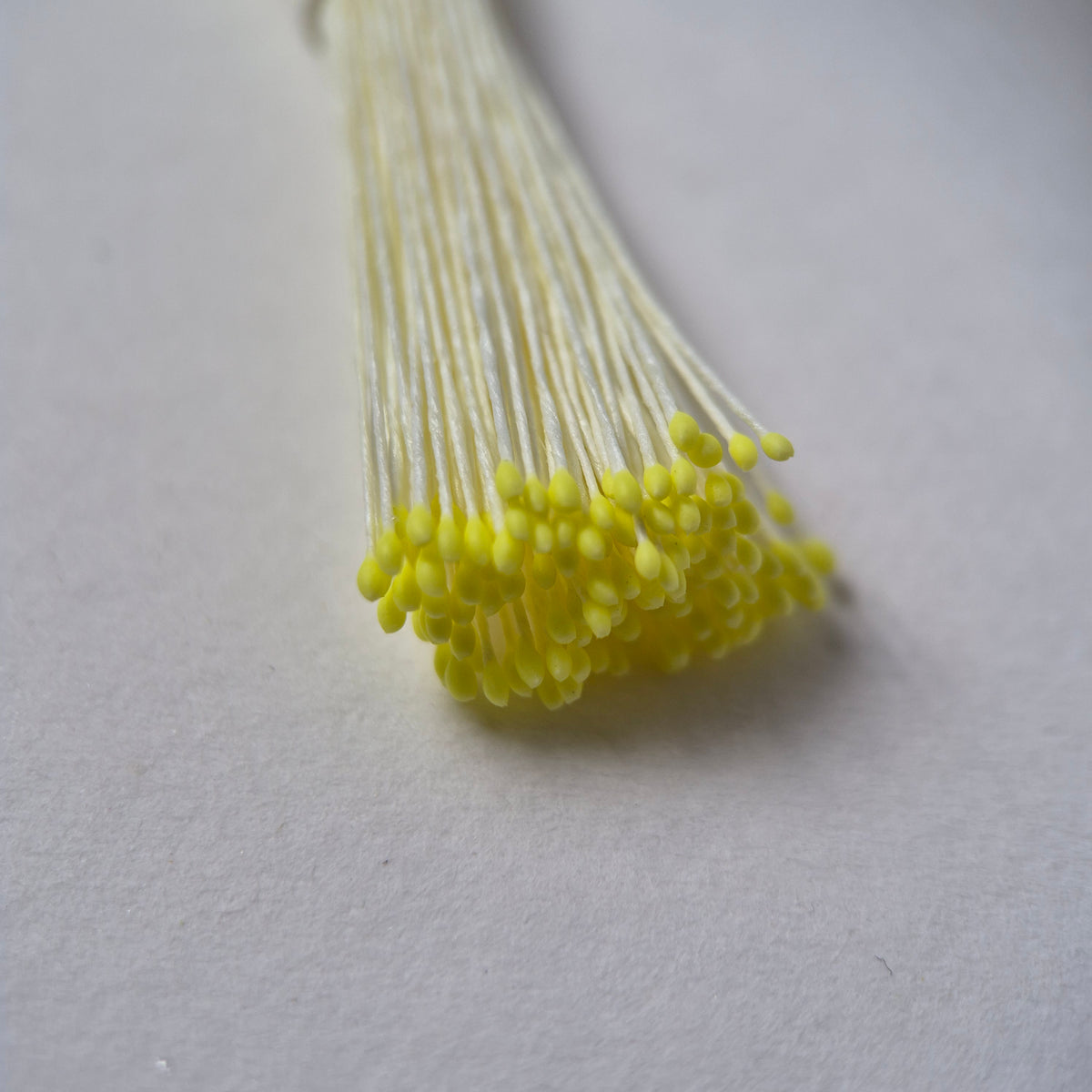 Small bundle of tiny yellow round flower stamens on cream cotton thread for silk floristry