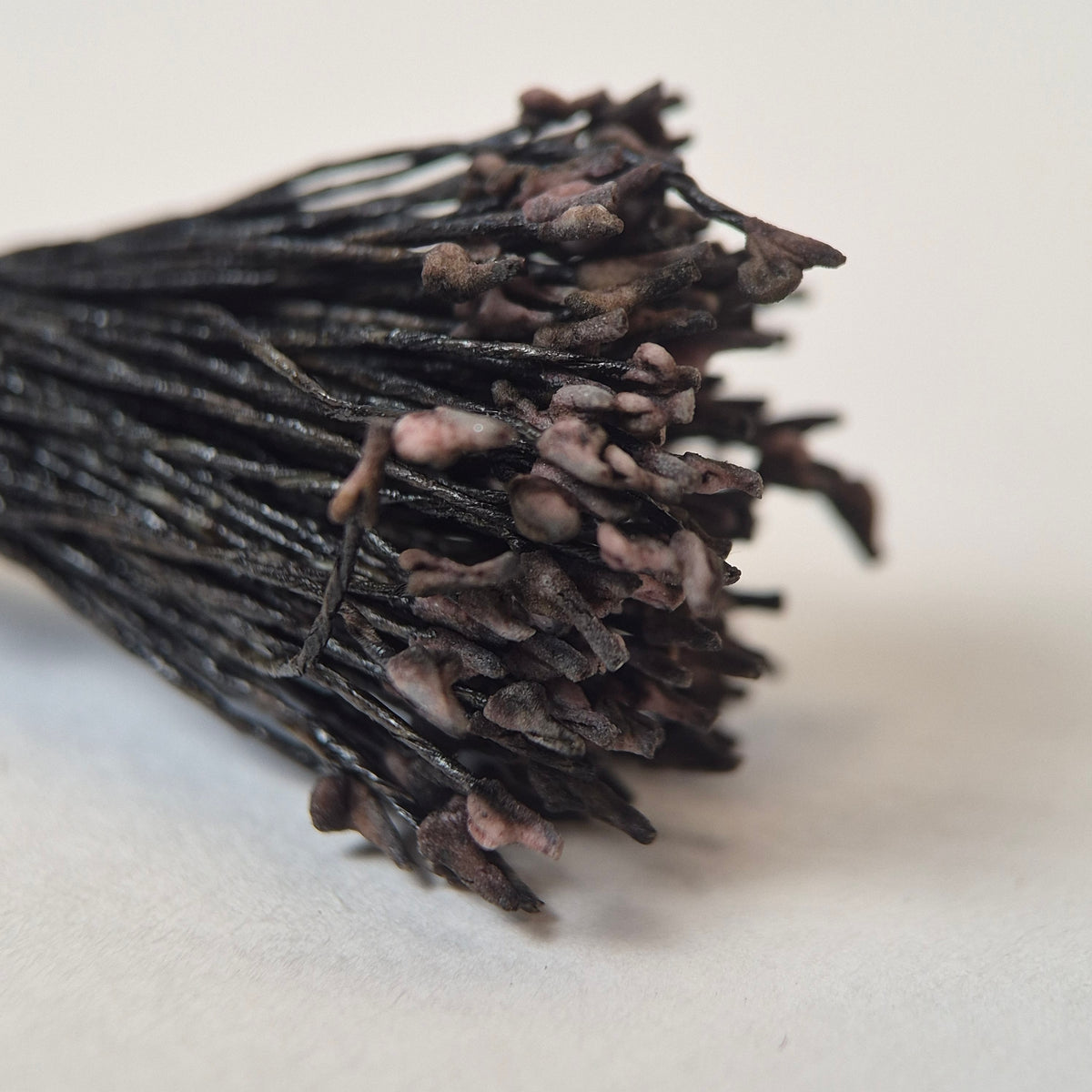 Brown Naturalistic Flower Stamens – Size M (Brown on Brown Thread)