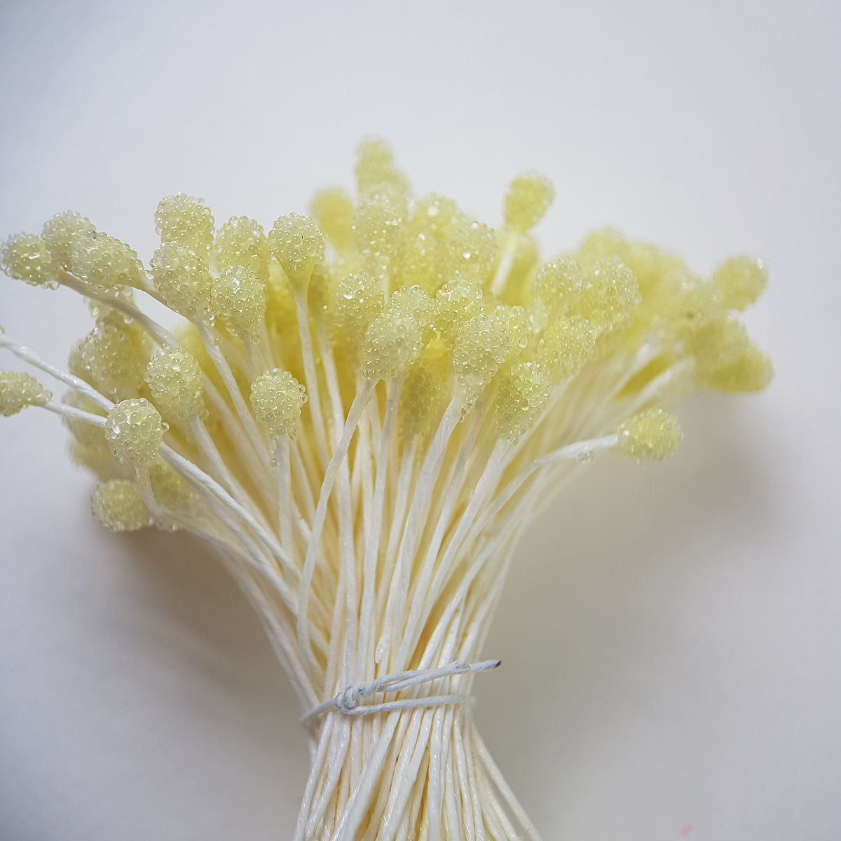 A bundle of size XL Japanese lemon sugar ball flower stamens made of rice flour and cream rayon threads, featuring 5mm frosted round heads