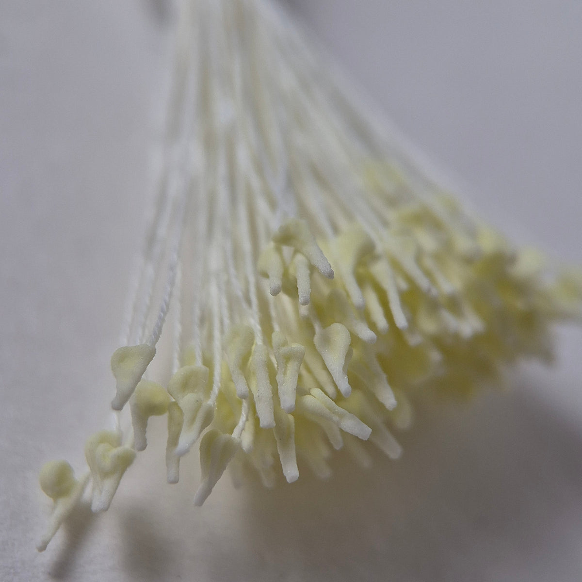 Miniature cream naturalistic flower stamens size S with botanical shapes on cream cotton threads, premium Japanese craft supplies