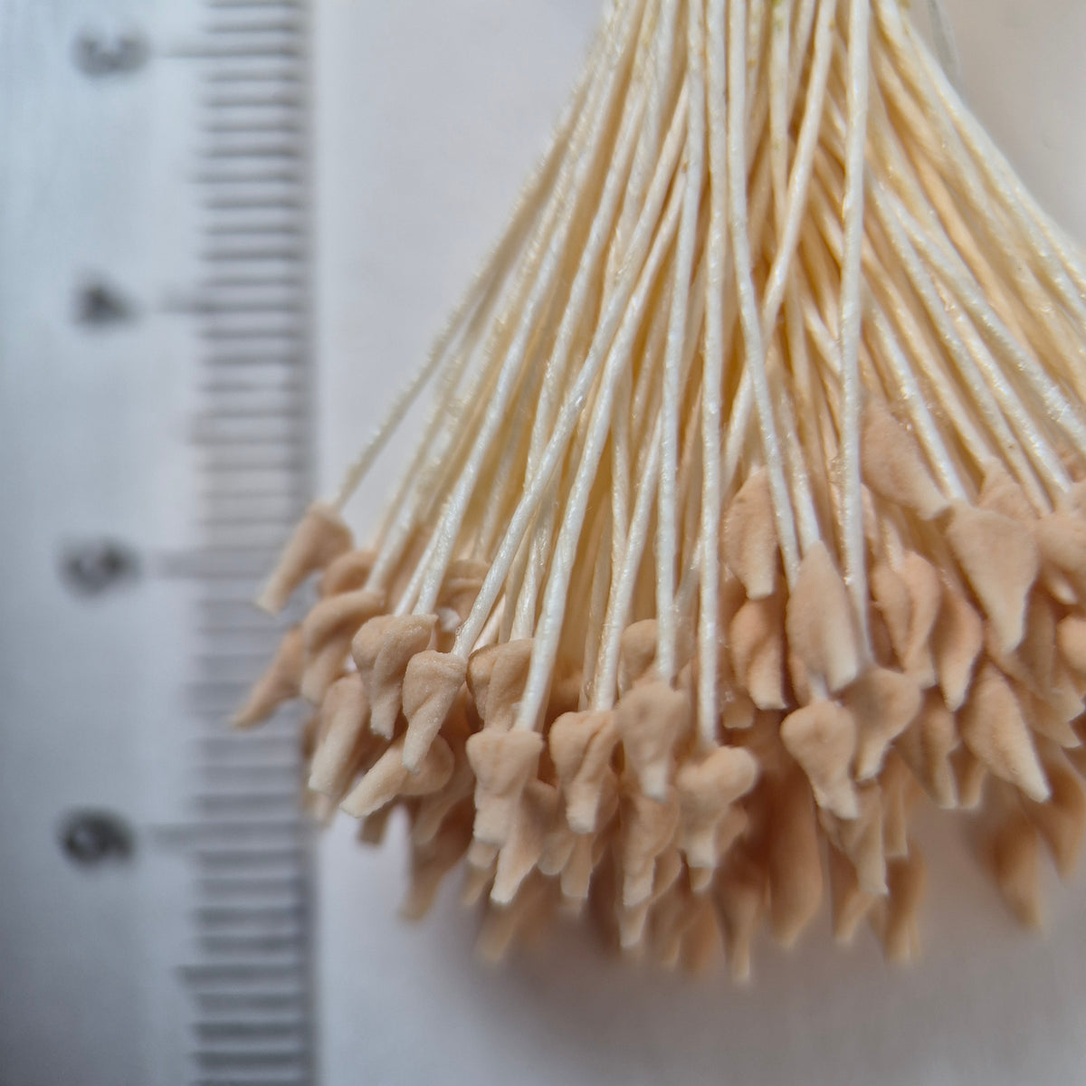 Cream naturalistic flower stamens size L with botanical shapes on cream cotton threads, premium Japanese craft supplies