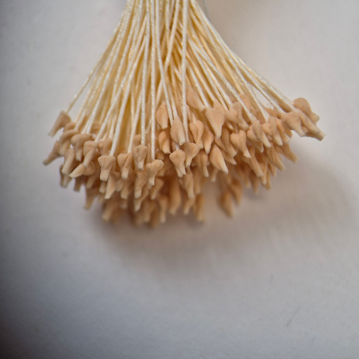 Cream naturalistic flower stamens size L with botanical shapes on cream cotton threads, premium Japanese craft supplies