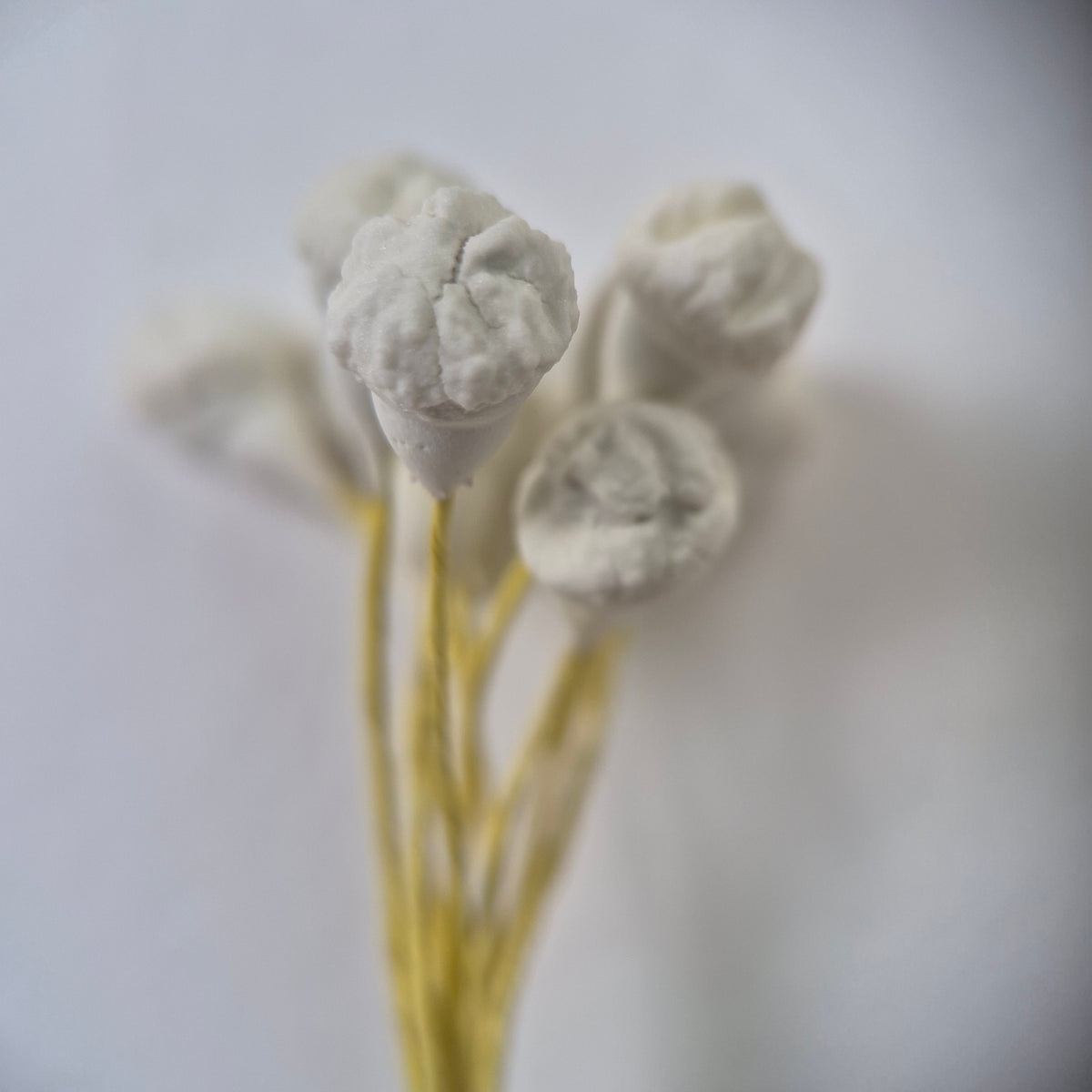 A bundle of 10 flexible yellow wire stems with 20 white closed decorative Japanese flower buds