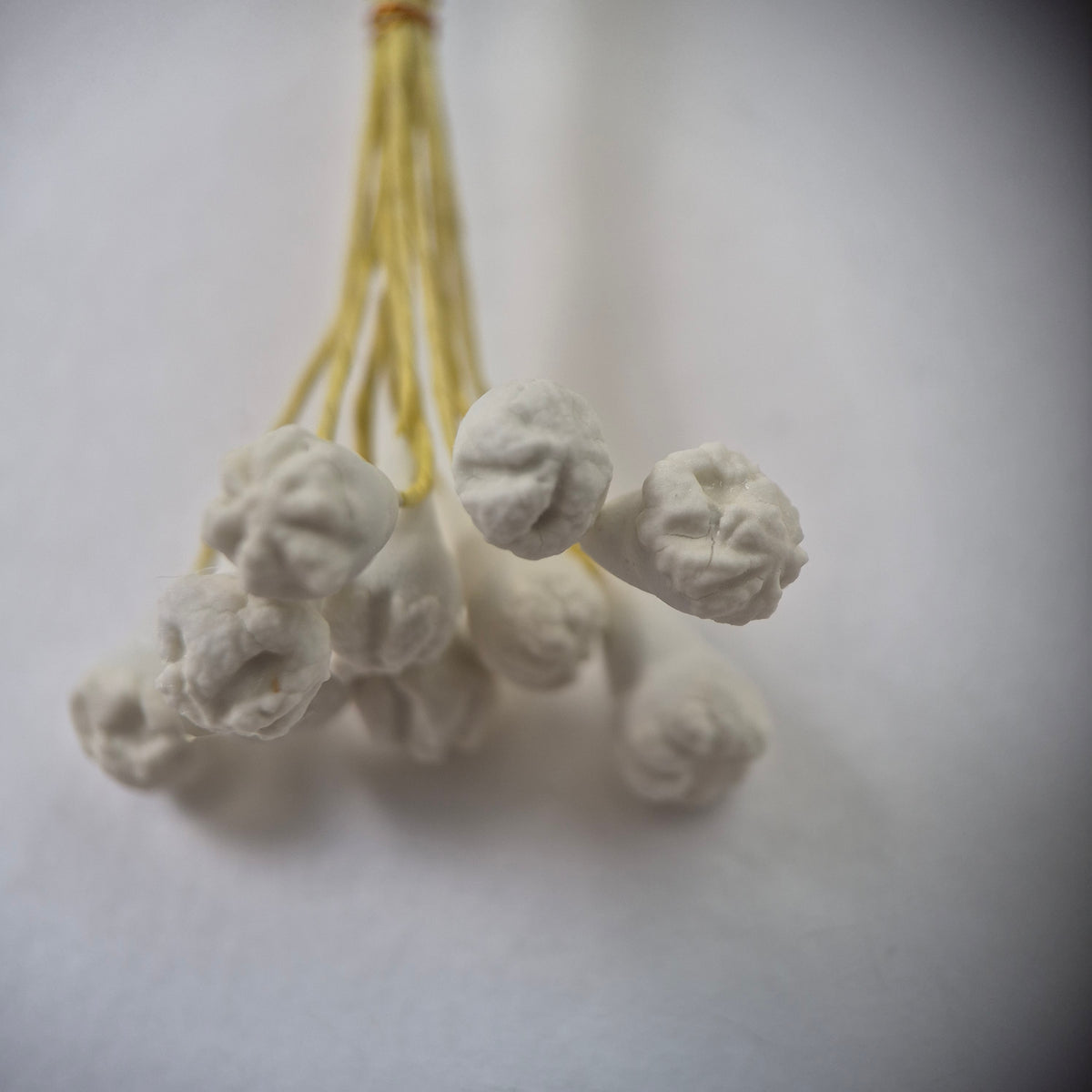 A bundle of 10 flexible yellow wire stems with 20 white closed decorative Japanese flower buds