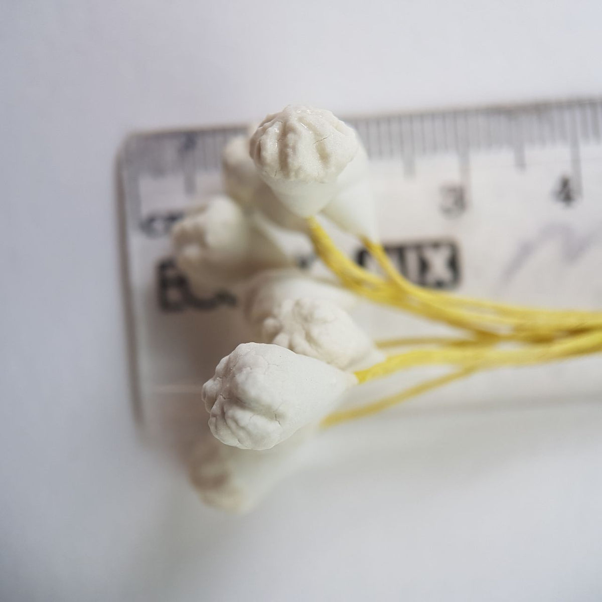 A bundle of 10 flexible yellow wire stems with 20 white closed decorative Japanese flower buds