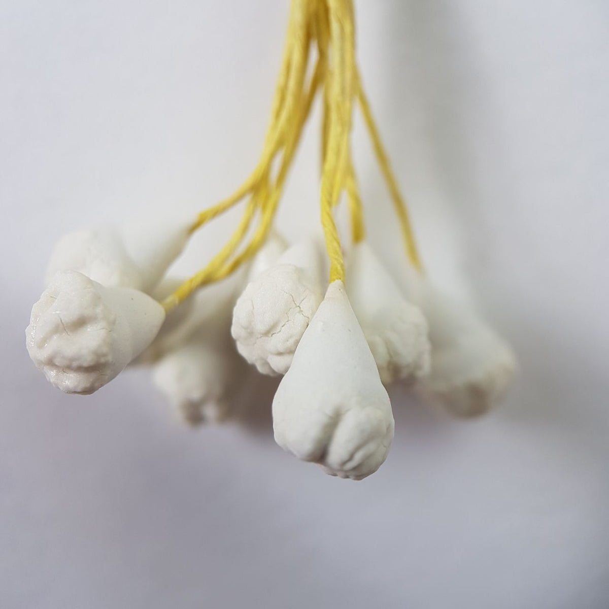 A bundle of 10 flexible yellow wire stems with 20 white closed decorative Japanese flower buds