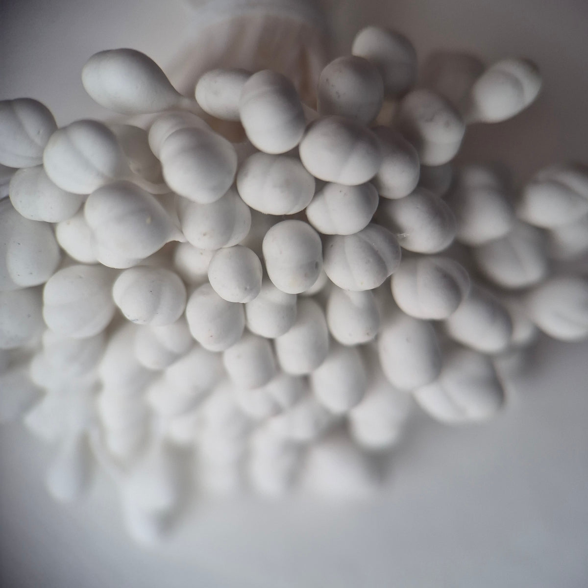 A bundle of 144 single-sided white decorative Japanese flower stamens/buds on high-quality white threads, featuring smooth droplet-shaped heads