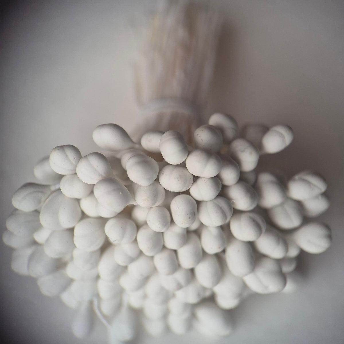 A bundle of 144 single-sided white decorative Japanese flower stamens/buds on high-quality white threads, featuring smooth droplet-shaped heads