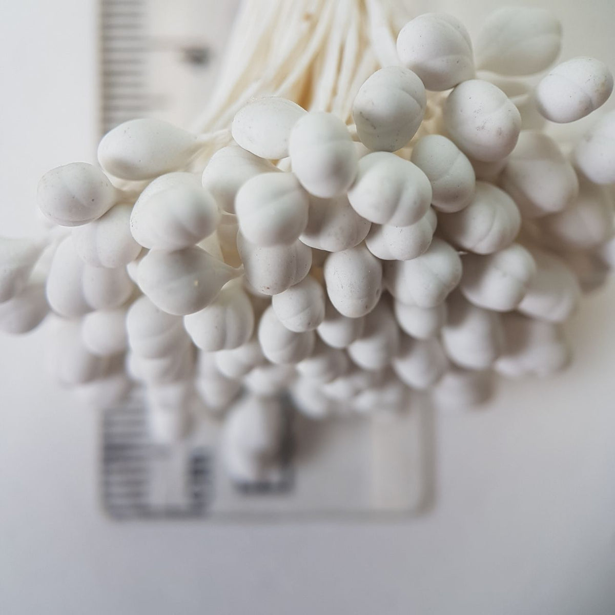 A bundle of 144 single-sided white decorative Japanese flower stamens/buds on high-quality white threads, featuring smooth droplet-shaped heads
