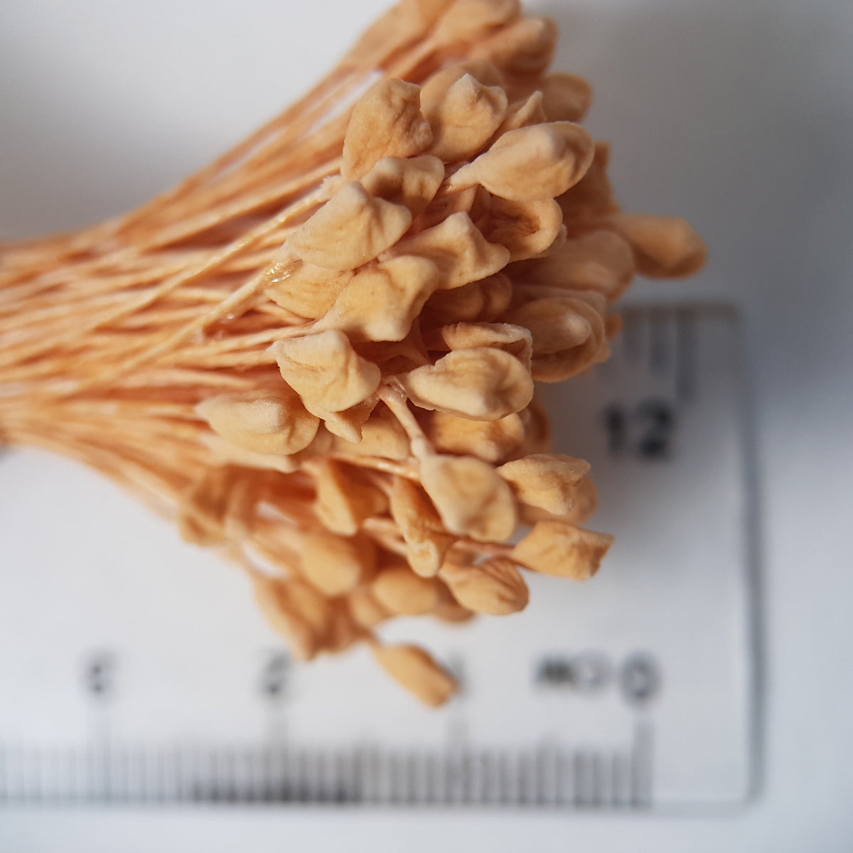 A bundle of extra-large size XL naturalistic Japanese flower stamens, featuring soft beige droplet-shaped heads on matching beige rayon threads
