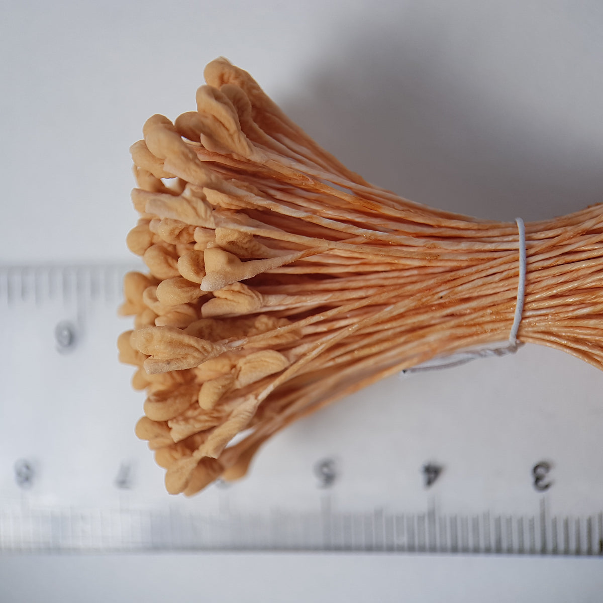A bundle of extra-large size XL naturalistic Japanese flower stamens, featuring soft beige droplet-shaped heads on matching beige rayon threads