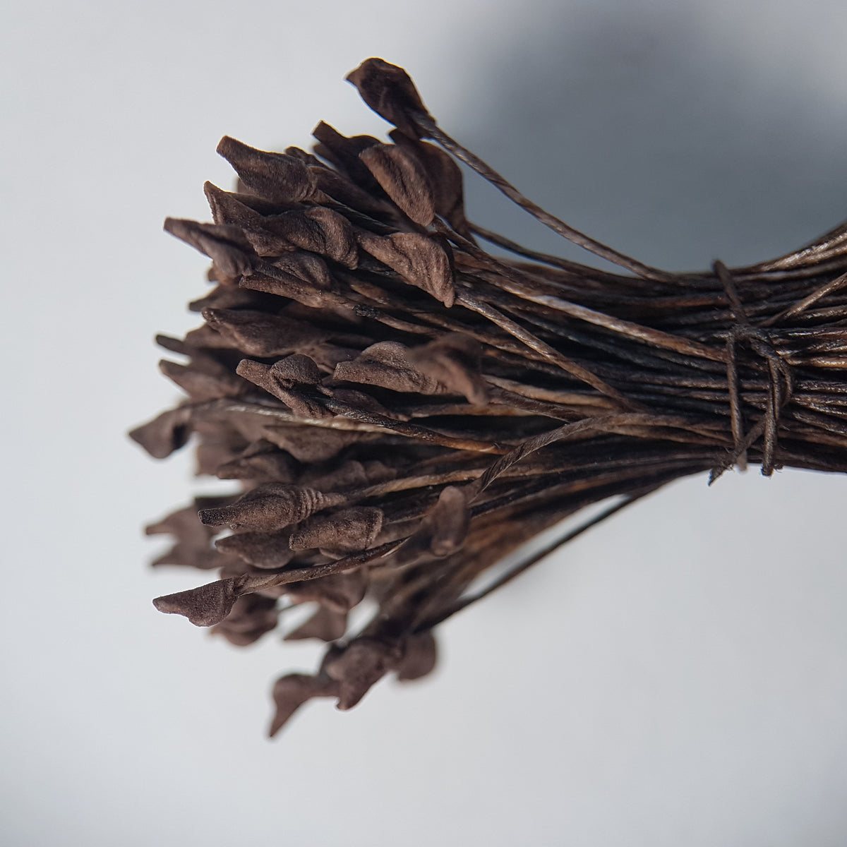 A bundle of extra-large size XL naturalistic Japanese flower stamens, featuring deep brown droplet-shaped heads on matching brown rayon threads