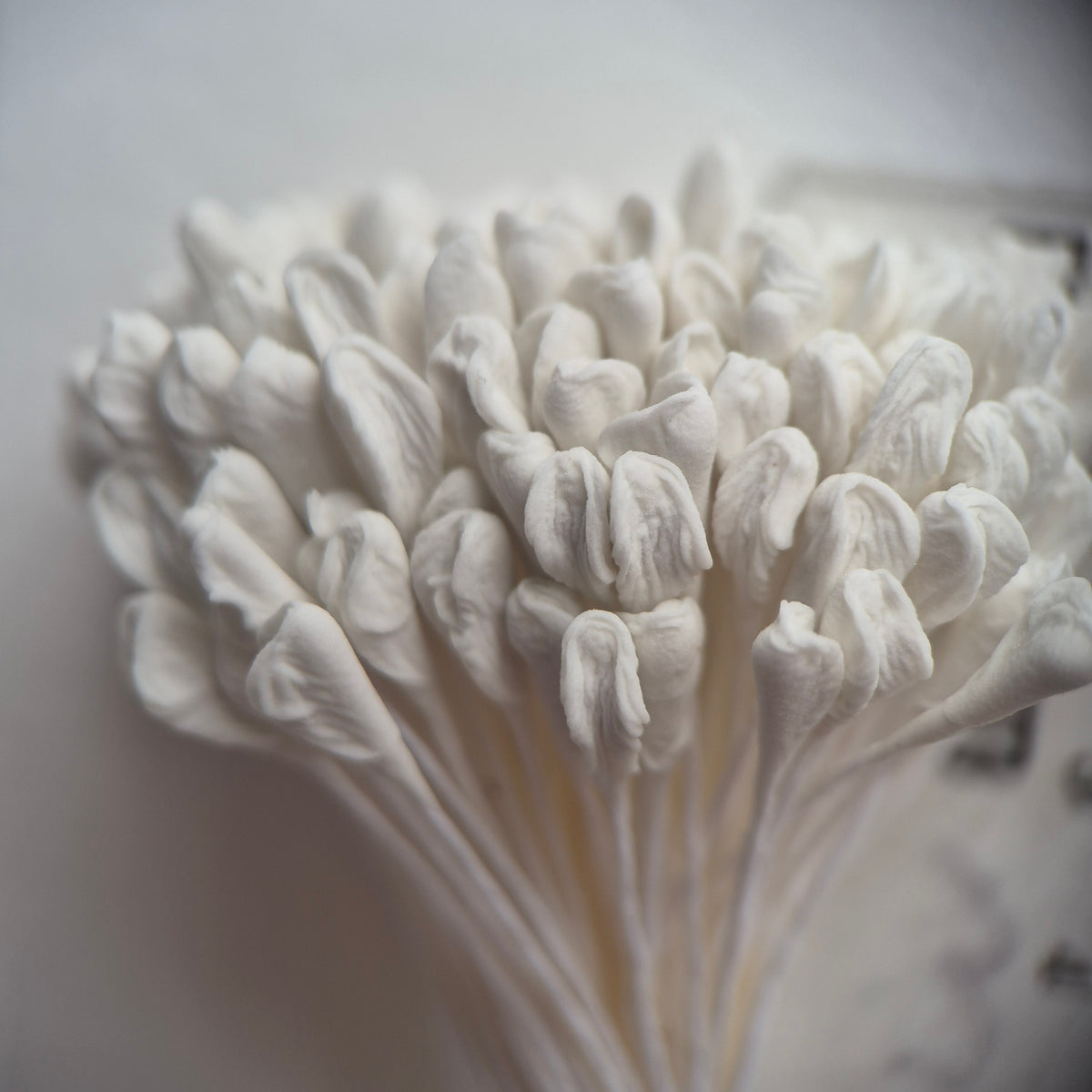 A bundle of 144 single-sided extra-large size XL white decorative Japanese flower stamens for lilies and tulips on matching white threads, featuring large handmade elongated heads measured against a ruler