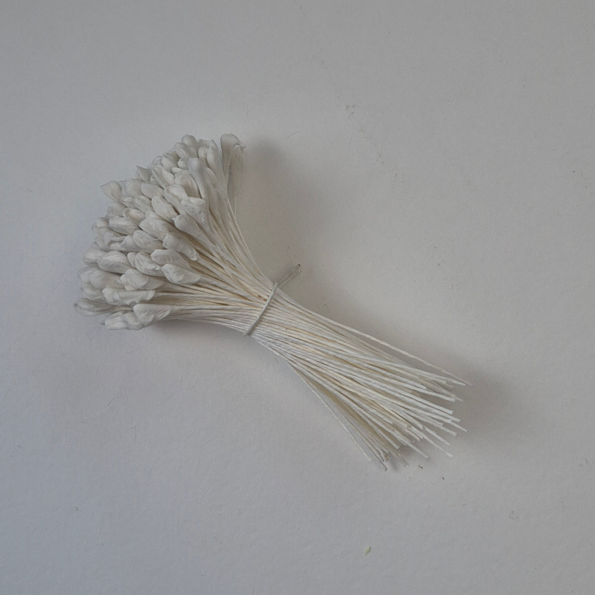 A bundle of 144 single-sided extra-large size XL white decorative Japanese flower stamens for lilies and tulips on matching white threads, featuring large handmade elongated heads measured against a ruler