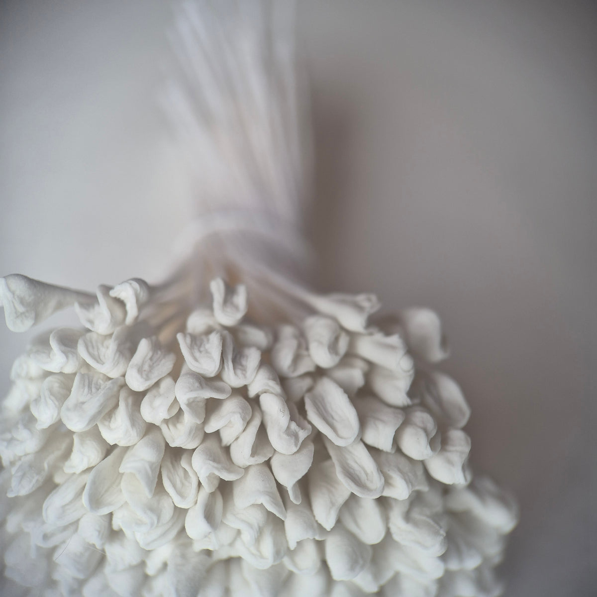 A bundle of 144 single-sided extra-large size XL white decorative Japanese flower stamens for lilies and tulips on matching white threads, featuring large handmade elongated heads measured against a ruler