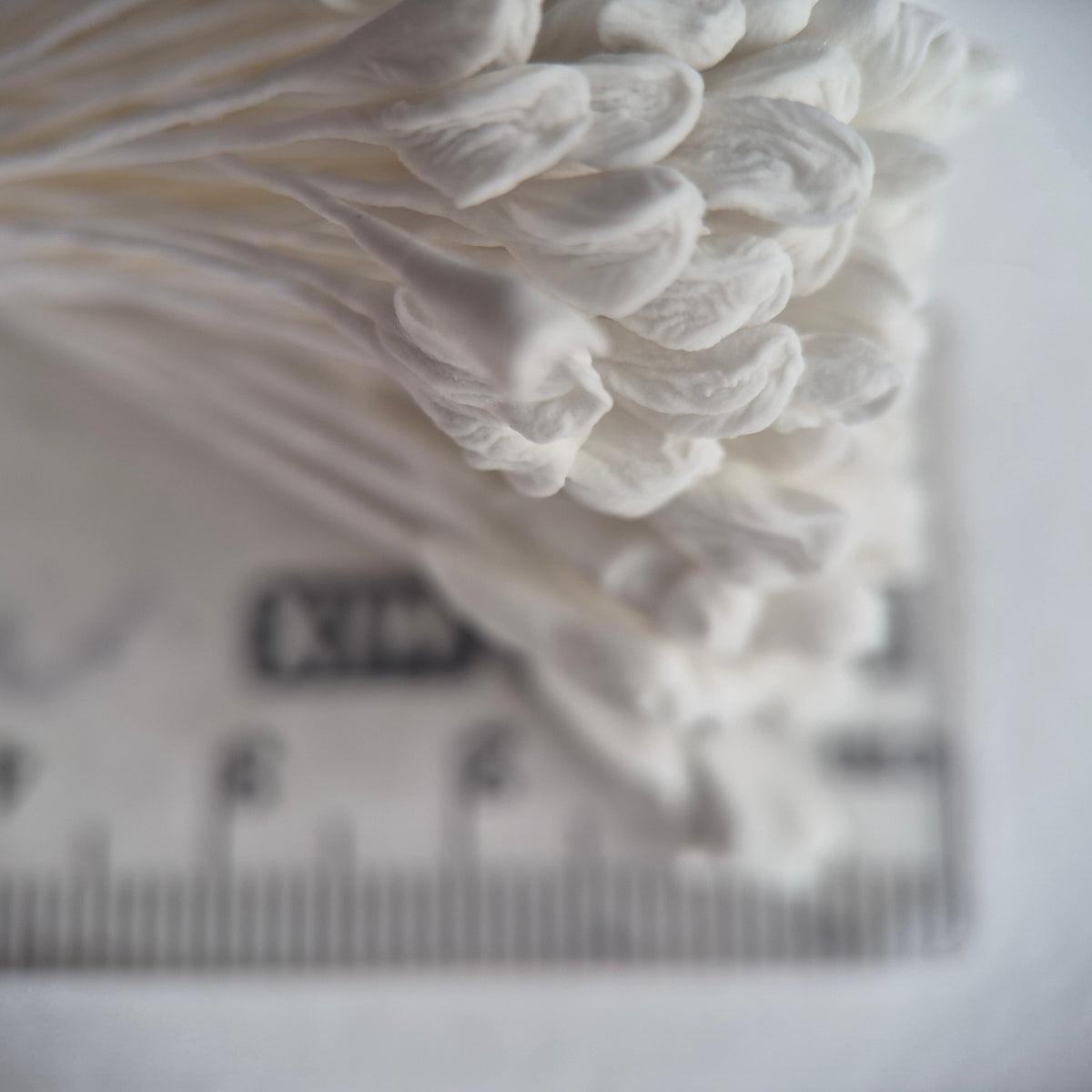 A bundle of 144 single-sided extra-large size XL white decorative Japanese flower stamens for lilies and tulips on matching white threads, featuring large handmade elongated heads measured against a ruler