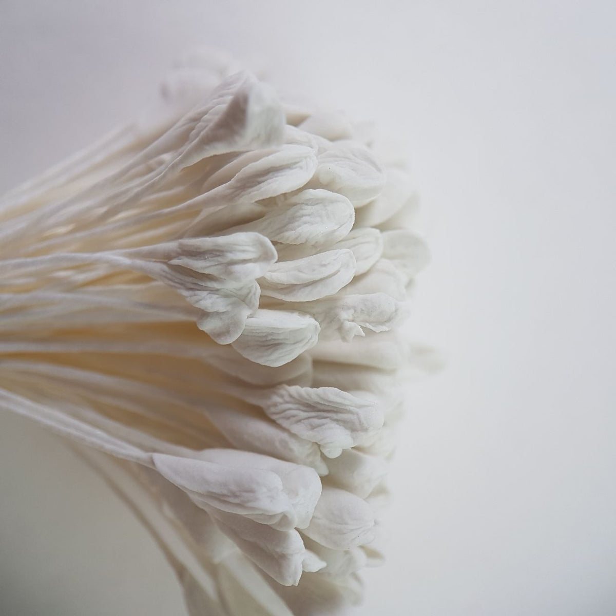 A bundle of 144 single-sided extra-large size XL white decorative Japanese flower stamens for lilies and tulips on matching white threads, featuring large handmade elongated heads measured against a ruler