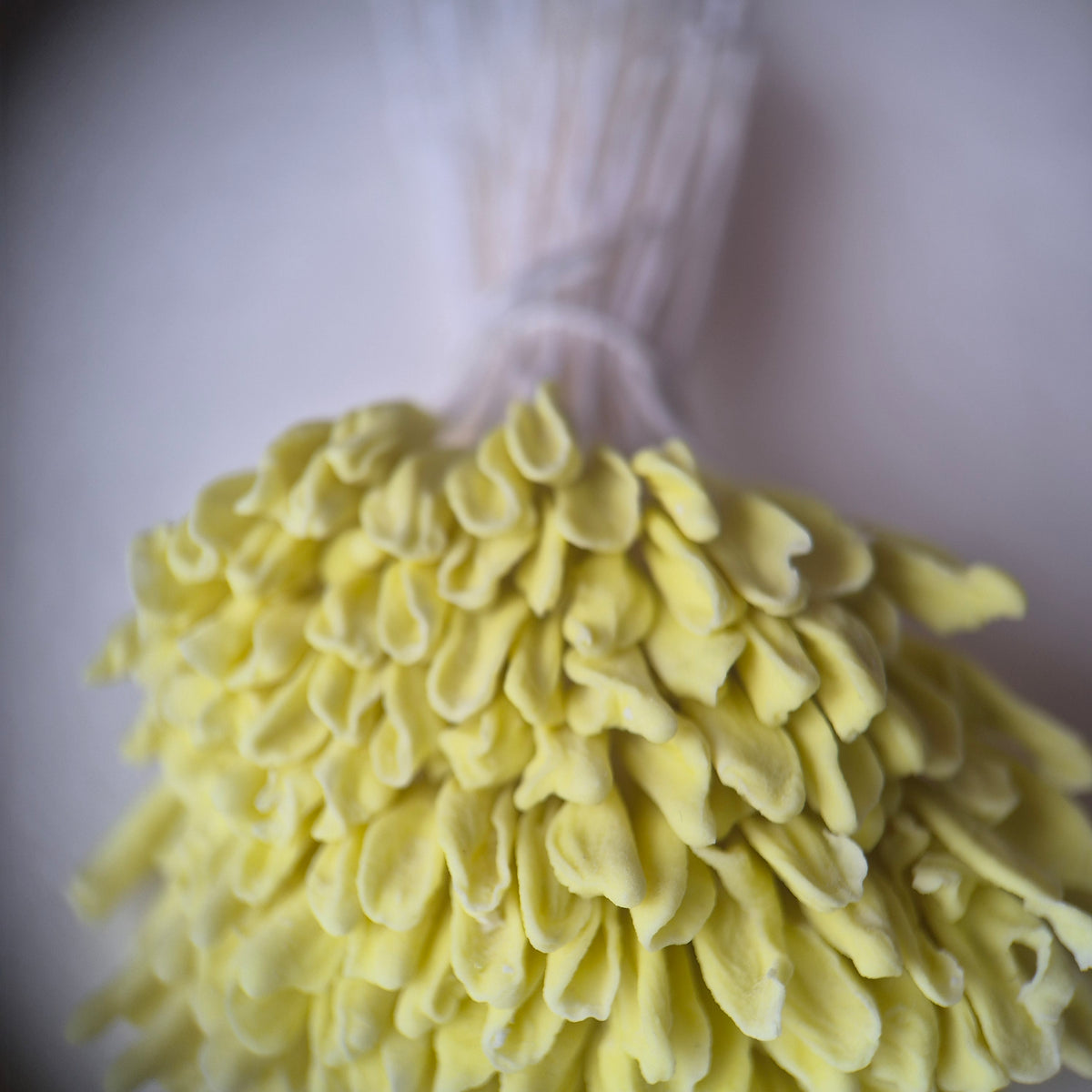 A bundle of 144 single-sided extra-large size XL yellow decorative Japanese flower stamens for lilies and tulips on white threads, featuring large handmade elongated heads measured against a ruler