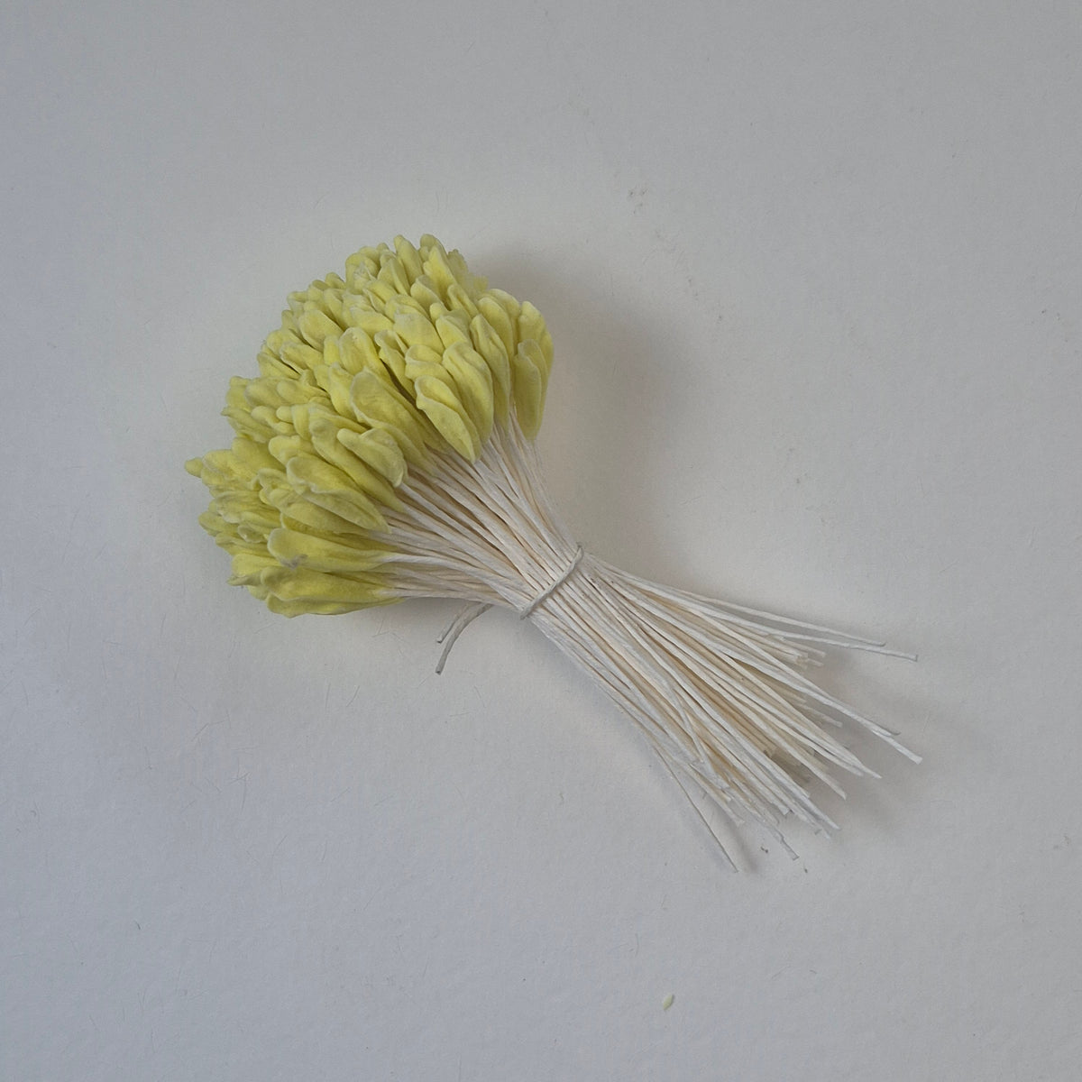 A bundle of 144 single-sided extra-large size XL yellow decorative Japanese flower stamens for lilies and tulips on white threads, featuring large handmade elongated heads measured against a ruler