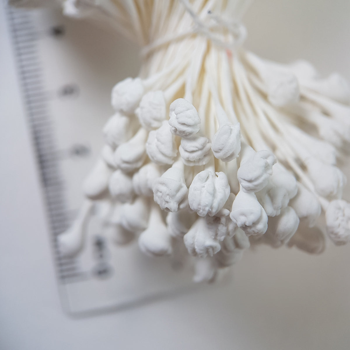A bundle of extra-large size XL naturalistic Japanese flower stamens made of white rice flour and rayon threads, arranged next to a transparent ruler