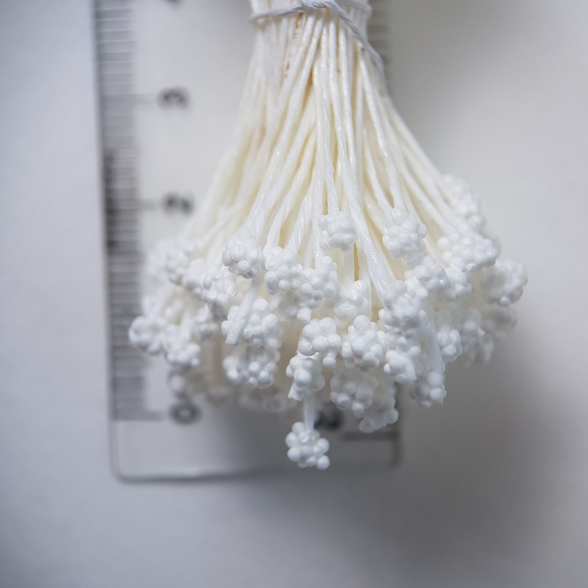A bundle of extra-large size XL Japanese flower stamens made of rice flour and white rayon threads, featuring pure white textured gypsophila-shaped cluster heads next to a ruler