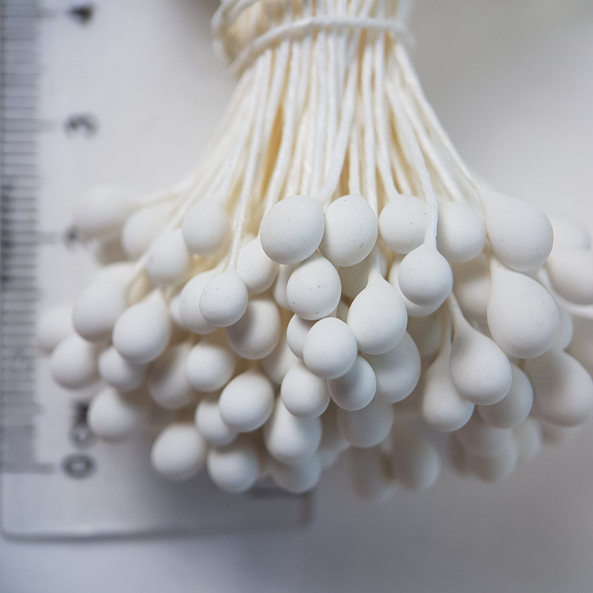 A bundle of extra-large size XL Japanese flower stamens made of rice flour and white rayon threads, featuring pure white round heads