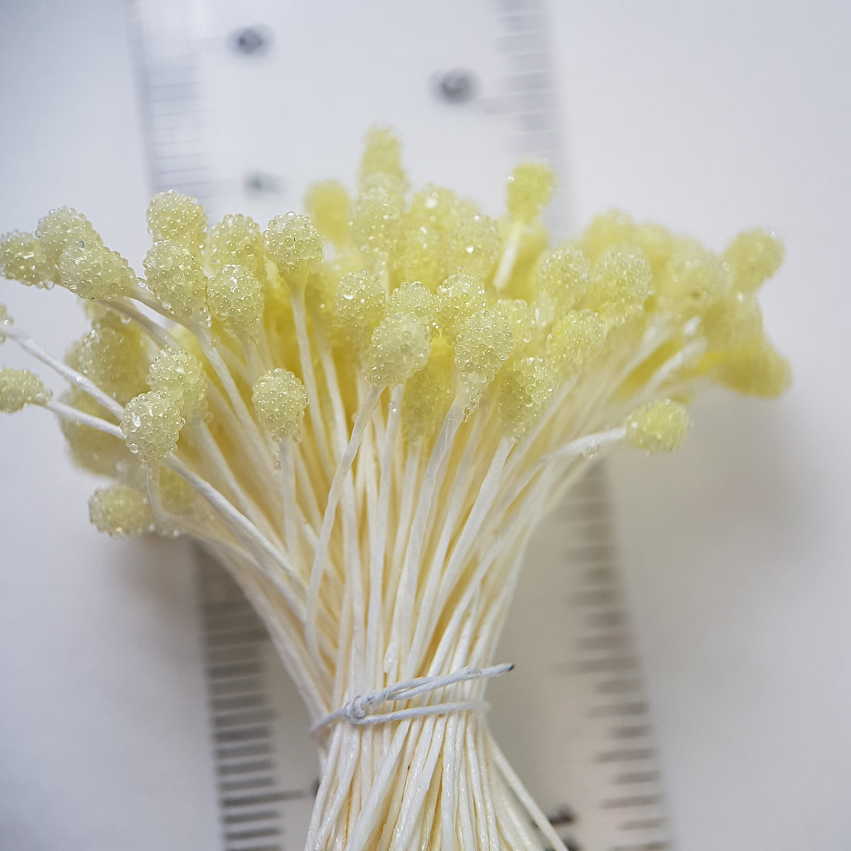 A bundle of size XL Japanese lemon sugar ball flower stamens made of rice flour and cream rayon threads, featuring 5mm frosted round heads