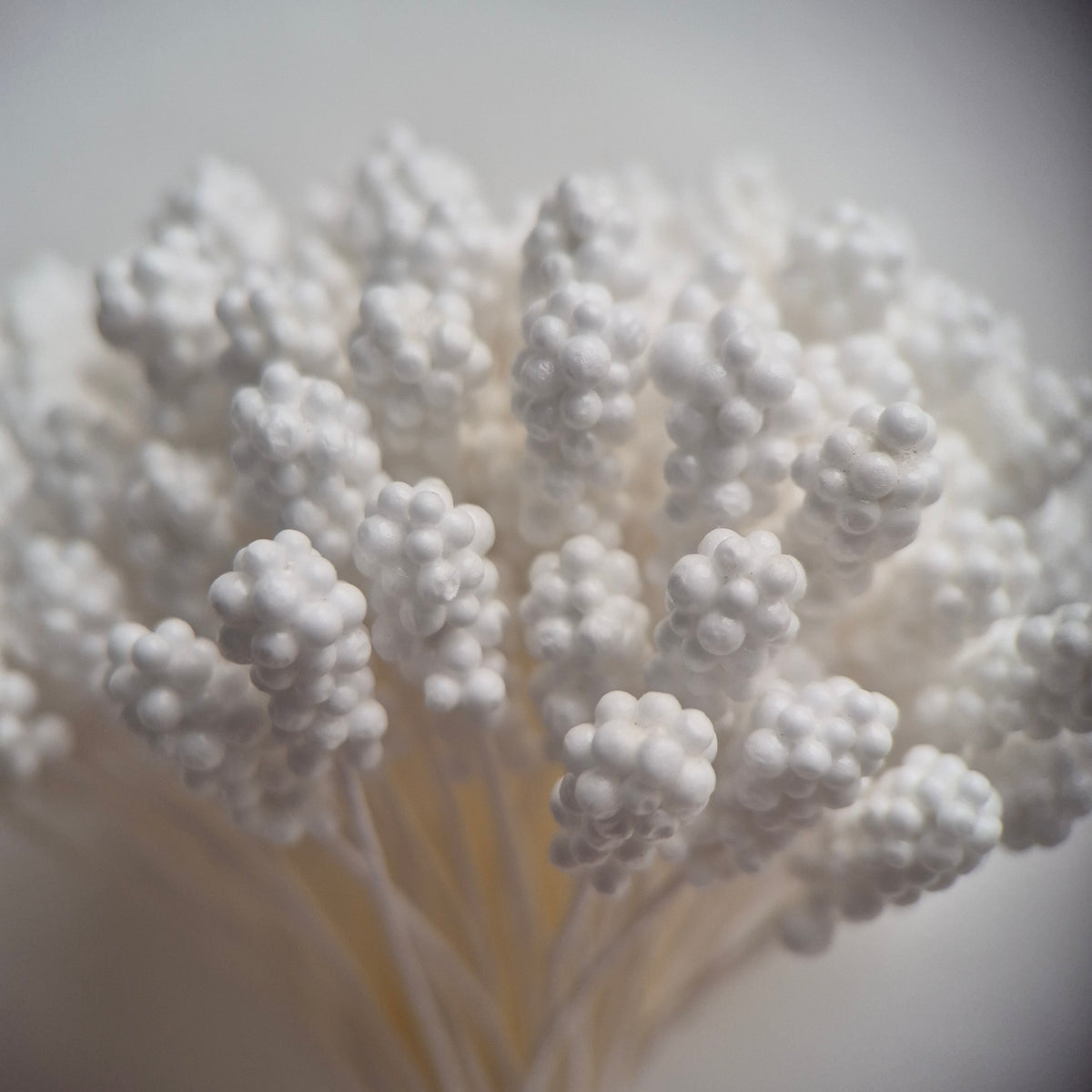 A bundle of 144 single-sided textured Japanese flower stamens with white gypsophila-effect heads on matching white rayon threads