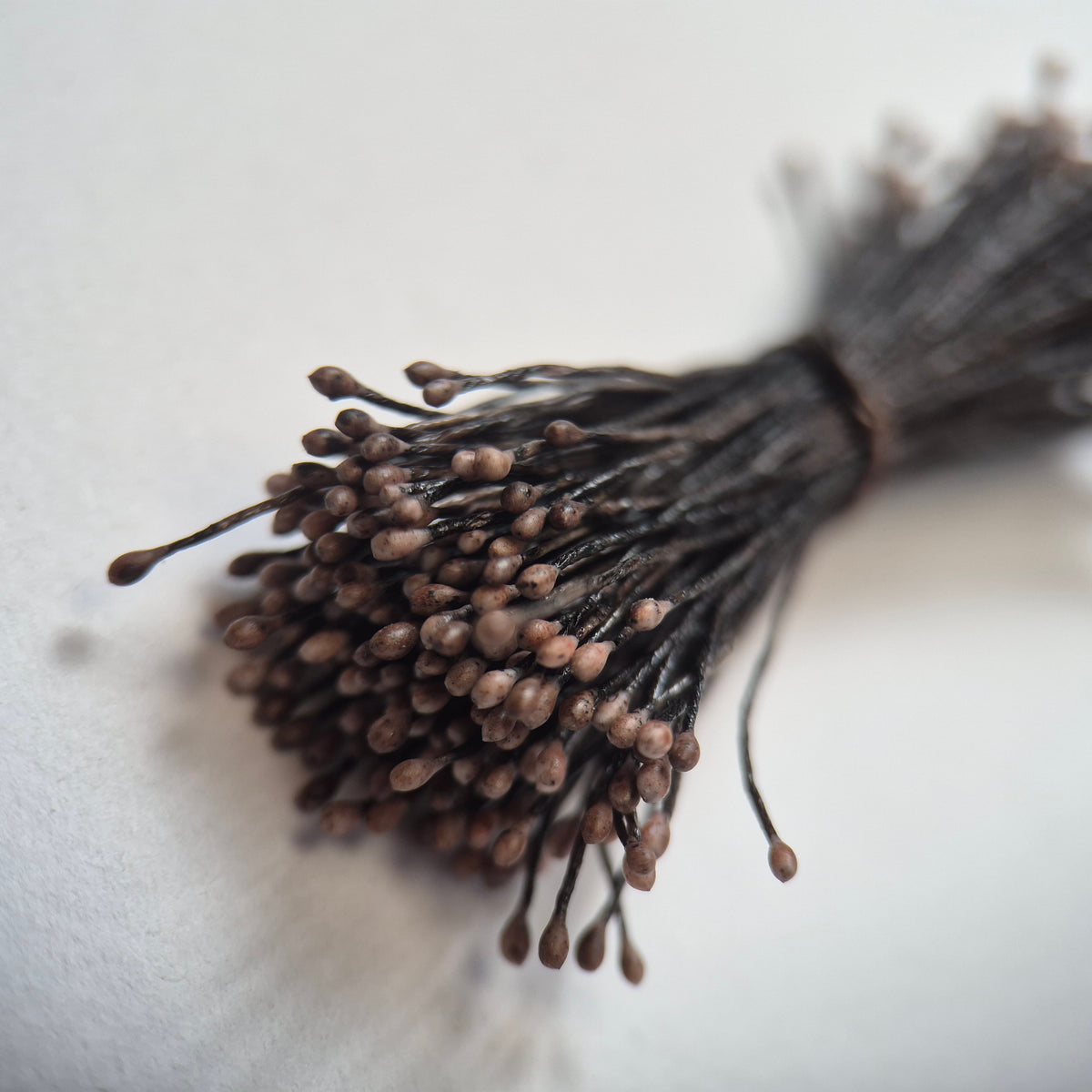 Small bundle of brown round flower stamens on brown cotton thread for silk floristry