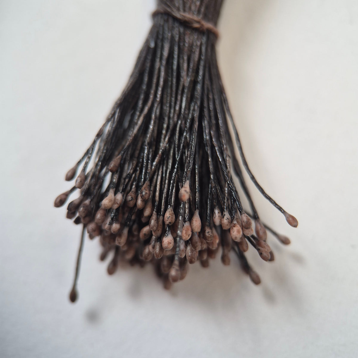 Small bundle of brown round flower stamens on brown cotton thread for silk floristry