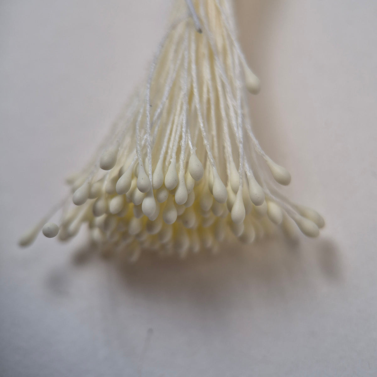 Small bundle of cream round flower stamens on cream cotton thread for silk floristry