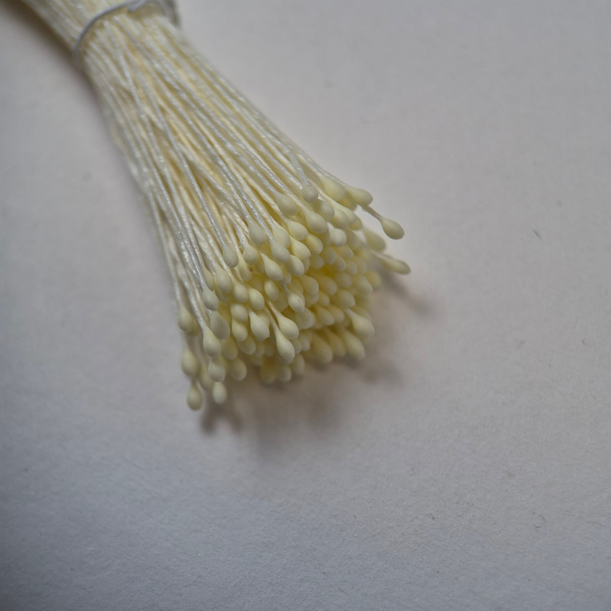 Small bundle of light cream round flower stamens on light cream cotton thread for silk floristry