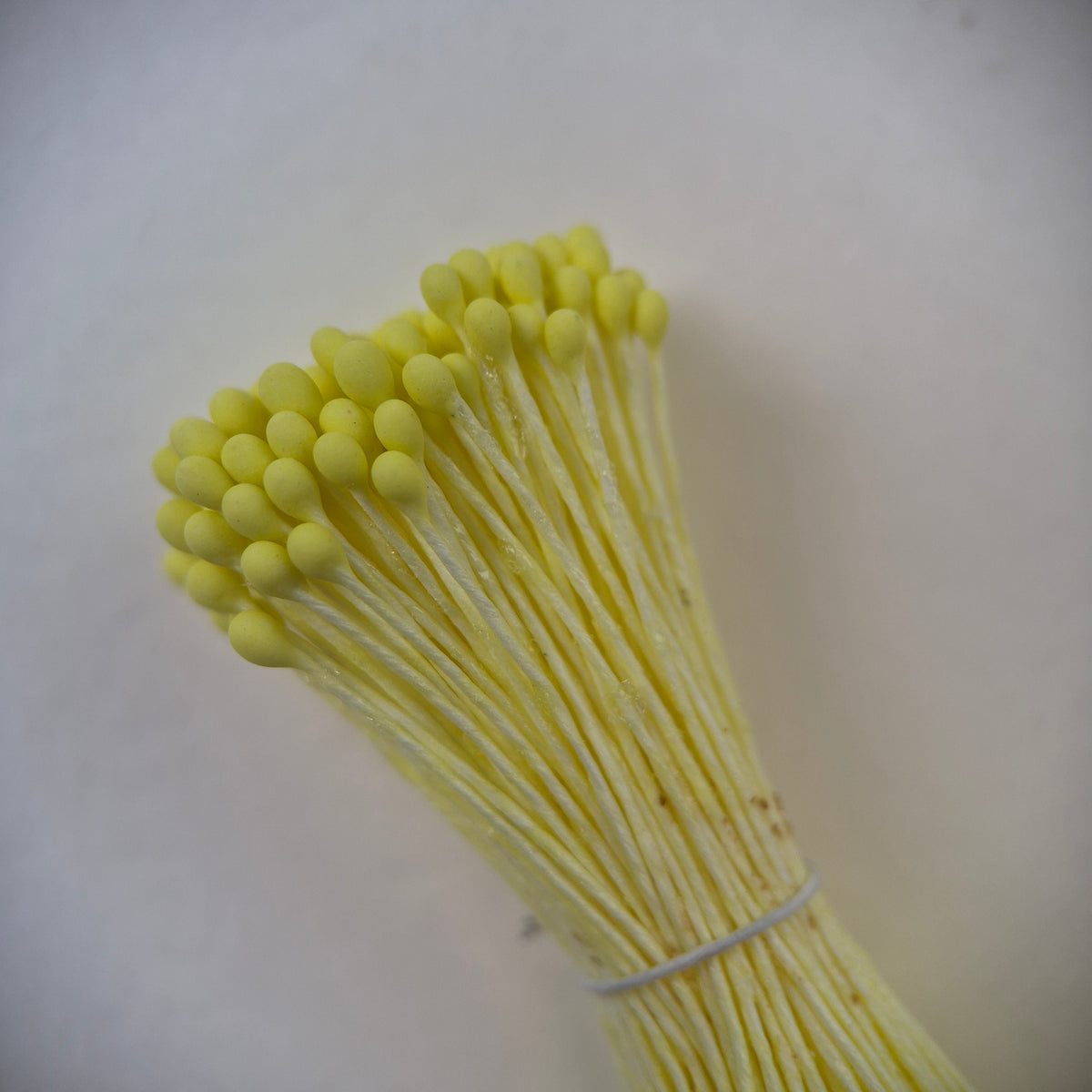 Small bundle of yellow round flower stamens on yellow cotton thread for silk floristry