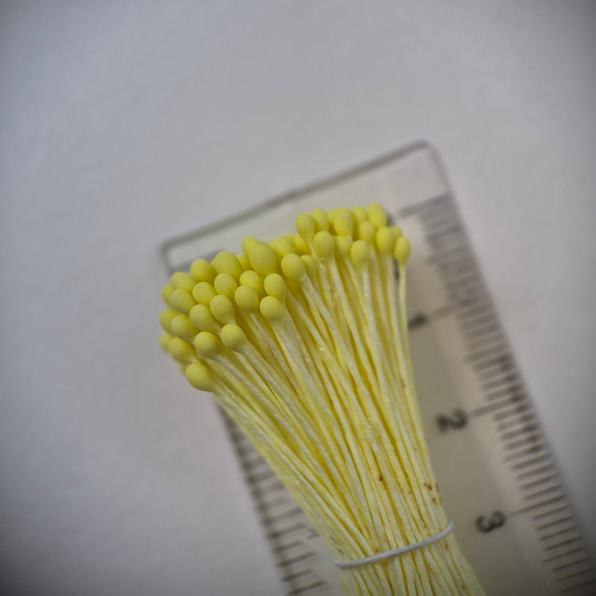 Small bundle of yellow round flower stamens on yellow cotton thread for silk floristry