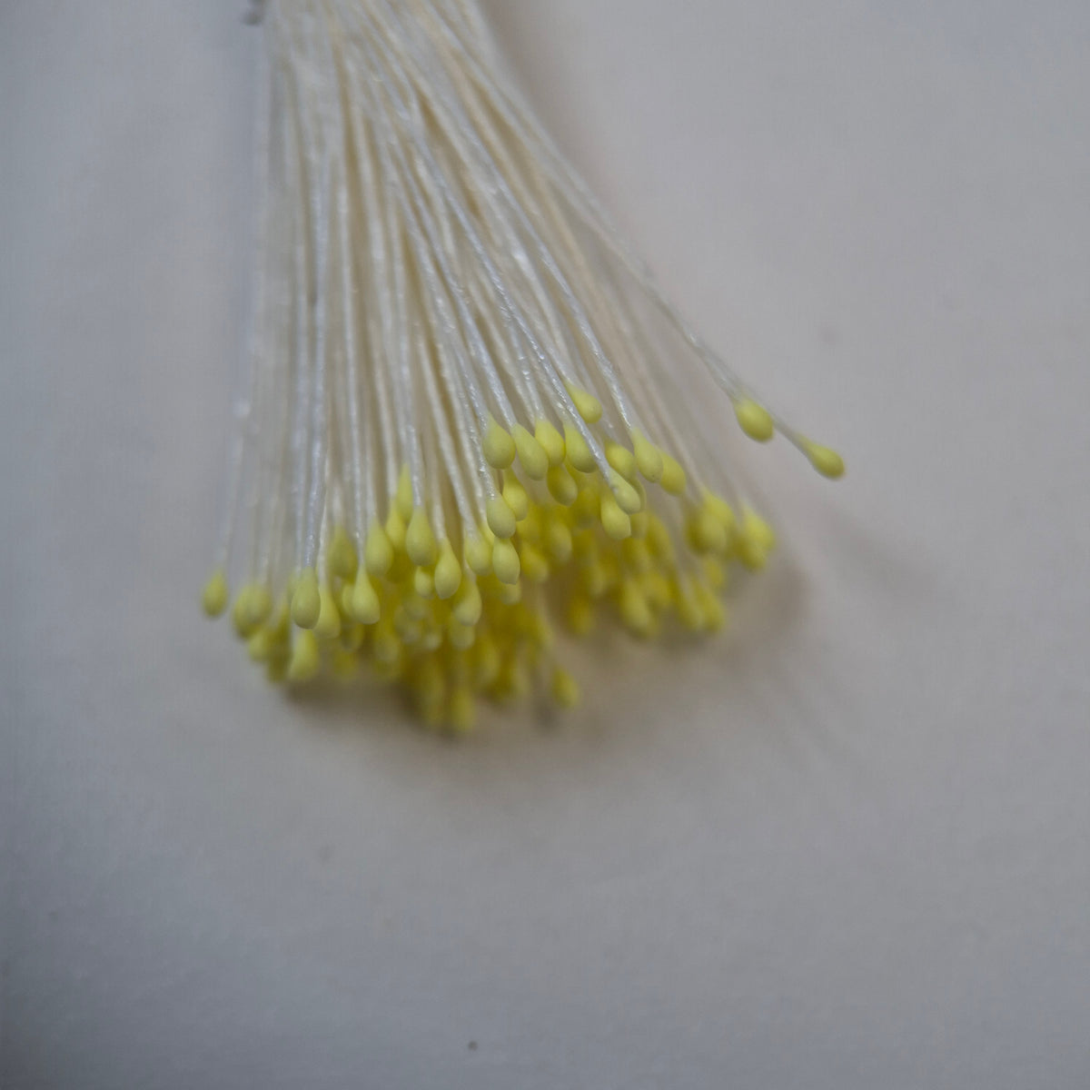 Small bundle of tiny yellow round flower stamens on cream cotton thread for silk floristry