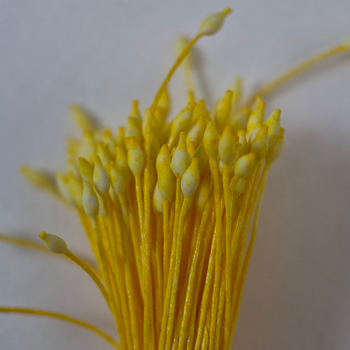 Miniature yellow elongated flower stamens size S on matching yellow cotton threads, premium Japanese floral supplies