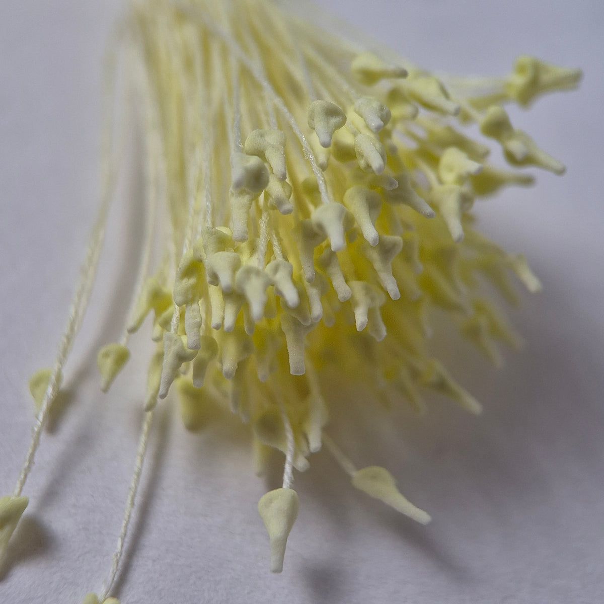 Miniature yellow naturalistic flower stamens size S with botanical shapes on yellow cotton threads, premium Japanese craft supplies